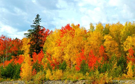 664130 (a): :2560x1600